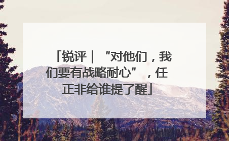 锐评｜“对他们，我们要有战略耐心”，任正非给谁提了醒