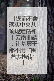 锲而不舍落实中央八项规定精神丨云南曲靖：让基层干部不用“围着表格转”