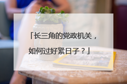 长三角的党政机关，如何过好紧日子？