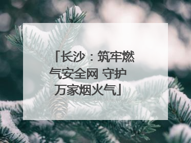长沙：筑牢燃气安全网 守护万家烟火气
