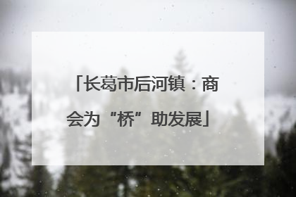 长葛市后河镇：商会为“桥”助发展