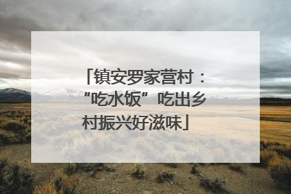 镇安罗家营村：“吃水饭”吃出乡村振兴好滋味