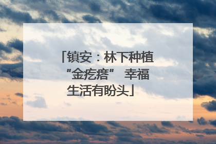 镇安：林下种植“金疙瘩” 幸福生活有盼头