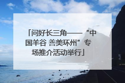 问好长三角——“中国羊谷 善美环州”专场推介活动举行