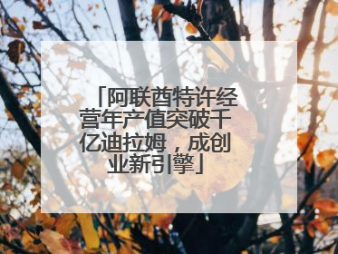 阿联酋特许经营年产值突破千亿迪拉姆，成创业新引擎