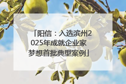 阳信：入选滨州2025年成就企业家梦想首批典型案例
