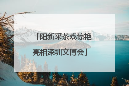 阳新采茶戏惊艳亮相深圳文博会