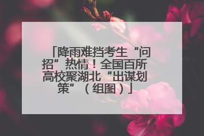 降雨难挡考生“问招”热情！全国百所高校聚湖北“出谋划策”（组图）