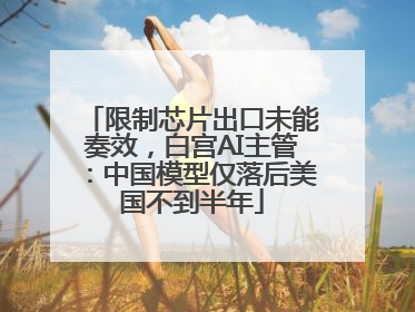 限制芯片出口未能奏效，白宫AI主管：中国模型仅落后美国不到半年