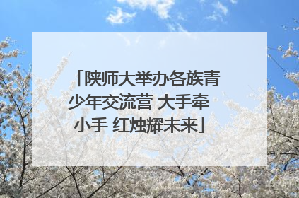 陕师大举办各族青少年交流营 大手牵小手 红烛耀未来