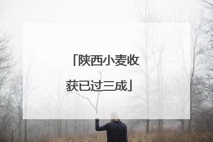 陕西小麦收获已过三成