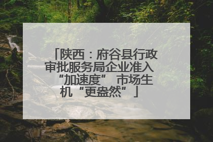 陕西：府谷县行政审批服务局企业准入“加速度” 市场生机“更盎然”