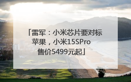 雷军：小米芯片要对标苹果，小米15SPro售价5499元起