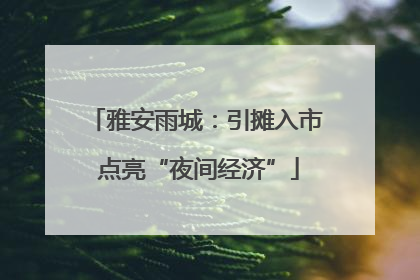 雅安雨城：引摊入市 点亮“夜间经济”