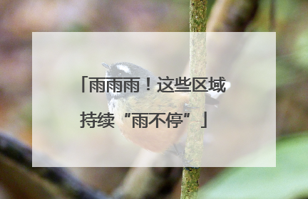 雨雨雨！这些区域持续“雨不停”