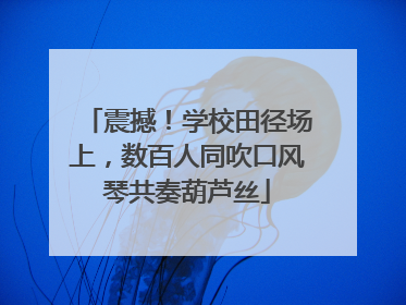 震撼！学校田径场上，数百人同吹口风琴共奏葫芦丝