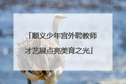 顺义少年宫外聘教师才艺展点亮美育之光