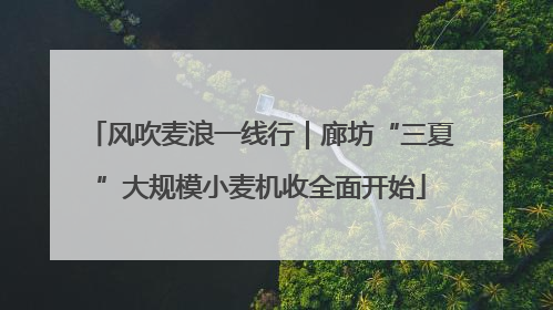 风吹麦浪一线行｜廊坊“三夏”大规模小麦机收全面开始