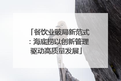 餐饮业破局新范式：海底捞以创新管理驱动高质量发展