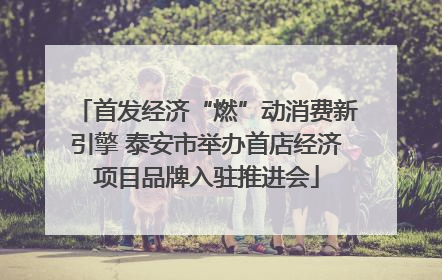 首发经济“燃”动消费新引擎 泰安市举办首店经济项目品牌入驻推进会