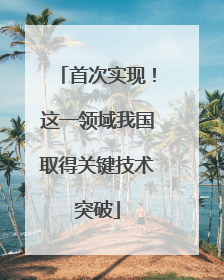 首次实现！这一领域我国取得关键技术突破