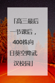 高三最后一节课后，400株向日葵空降武汉校园