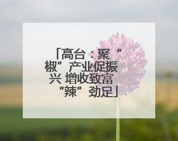 高台：聚“椒”产业促振兴 增收致富“辣”劲足