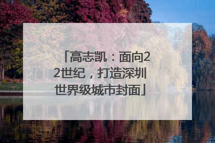 高志凯：面向22世纪，打造深圳世界级城市封面