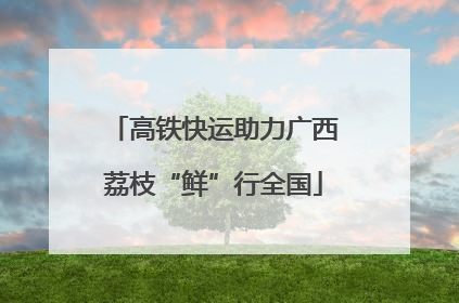 高铁快运助力广西荔枝“鲜”行全国