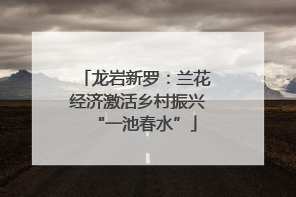 龙岩新罗：兰花经济激活乡村振兴“一池春水”