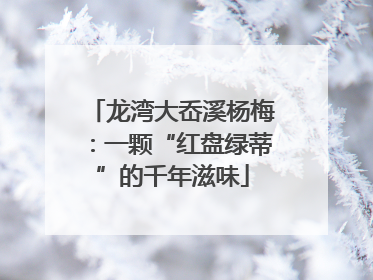 龙湾大岙溪杨梅：一颗“红盘绿蒂”的千年滋味