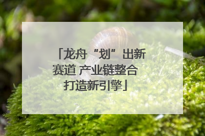 龙舟“划”出新赛道 产业链整合打造新引擎