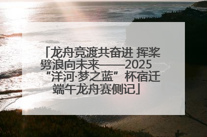 龙舟竞渡共奋进 挥桨劈浪向未来——2025“洋河·梦之蓝”杯宿迁端午龙舟赛侧记