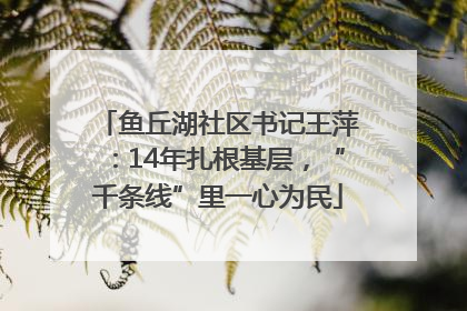 鱼丘湖社区书记王萍：14年扎根基层，“千条线”里一心为民