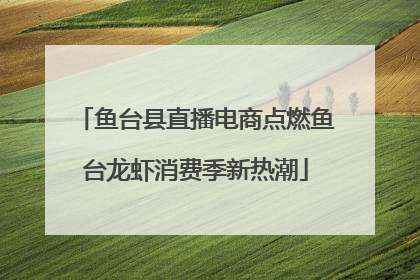 鱼台县直播电商点燃鱼台龙虾消费季新热潮