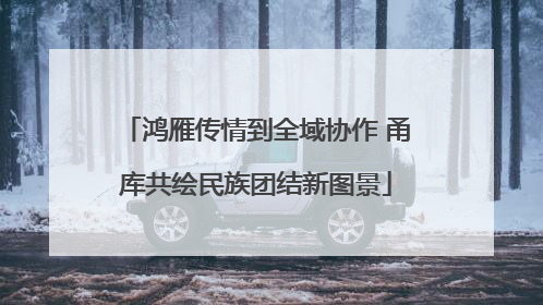 鸿雁传情到全域协作 甬库共绘民族团结新图景