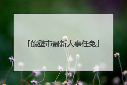 鹤壁市最新人事任免
