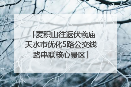 麦积山往返伏羲庙 天水市优化5路公交线路串联核心景区