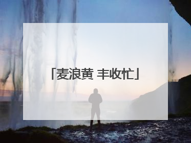 麦浪黄 丰收忙