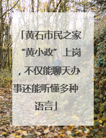 黄石市民之家“黄小政”上岗，不仅能聊天办事还能听懂多种语言