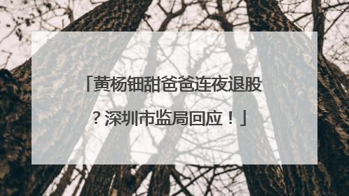 黄杨钿甜爸爸连夜退股？深圳市监局回应！