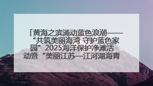 黄海之滨涌动蓝色浪潮——“共筑美丽海湾 守护蓝色家园”2025海洋保护净滩活动暨“美丽江苏—江河湖海青蓝行”海洋篇在连云港举行