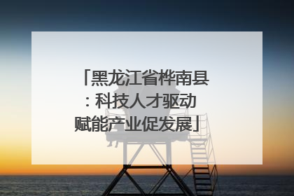黑龙江省桦南县：科技人才驱动 赋能产业促发展