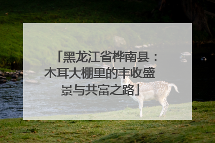 黑龙江省桦南县：木耳大棚里的丰收盛景与共富之路