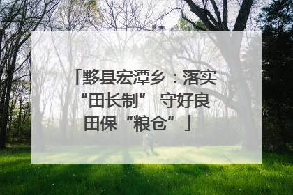 黟县宏潭乡：落实“田长制” 守好良田保“粮仓”
