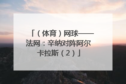 （体育）网球——法网：辛纳对阵阿尔卡拉斯（2）
