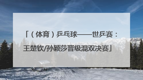 （体育）乒乓球——世乒赛：王楚钦/孙颖莎晋级混双决赛