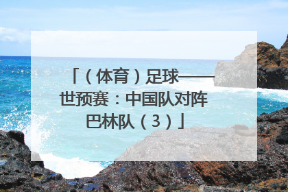 （体育）足球——世预赛：中国队对阵巴林队（3）