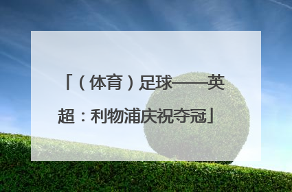 （体育）足球——英超：利物浦庆祝夺冠