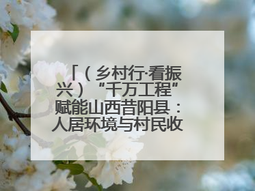 （乡村行·看振兴）“千万工程”赋能山西昔阳县：人居环境与村民收入“双提升”